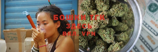 соль ск Болотное