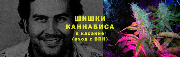 соль ск Болотное