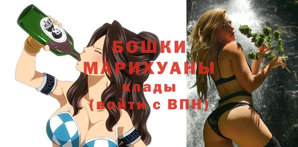 соль ск Болотное