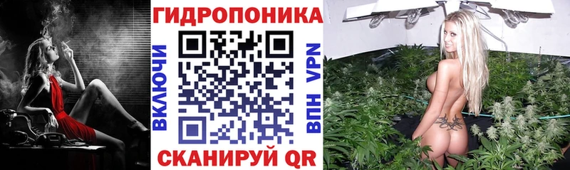 цены   Кадников  Бошки Шишки VHQ 